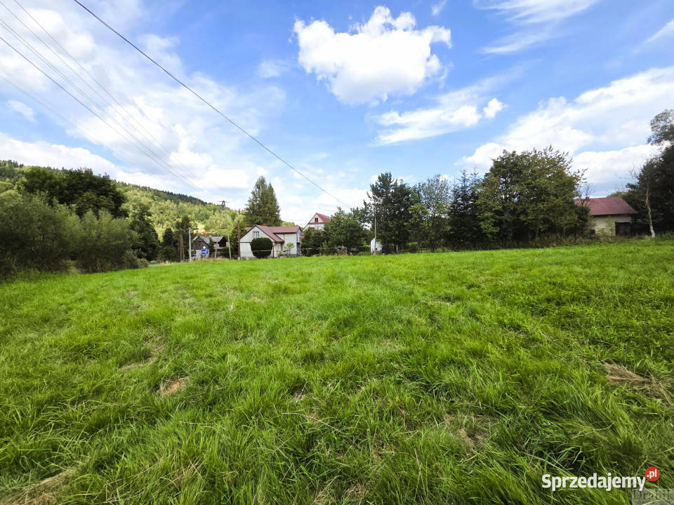 Działka Lachowice 3137m2 50m Sprzedaż