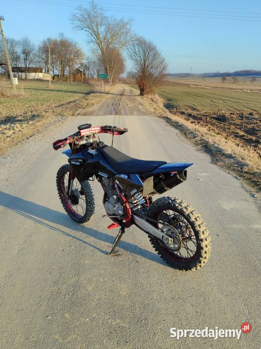 Diabolini 250 Wierciszów