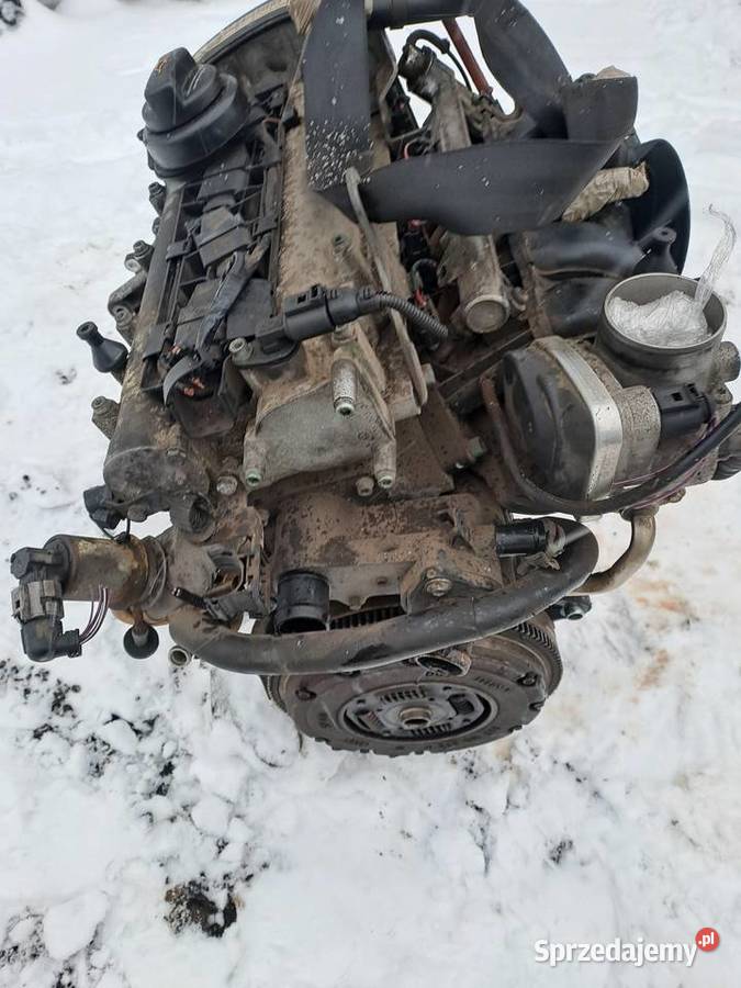 Audi Volkswagen Seat 16 16V silnik kompletny BCB Jastrzębie-Zdrój