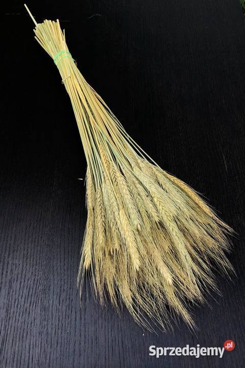 Naturalny KARTAMUS PĘCZKI kwiatowe Lublin sprzedam