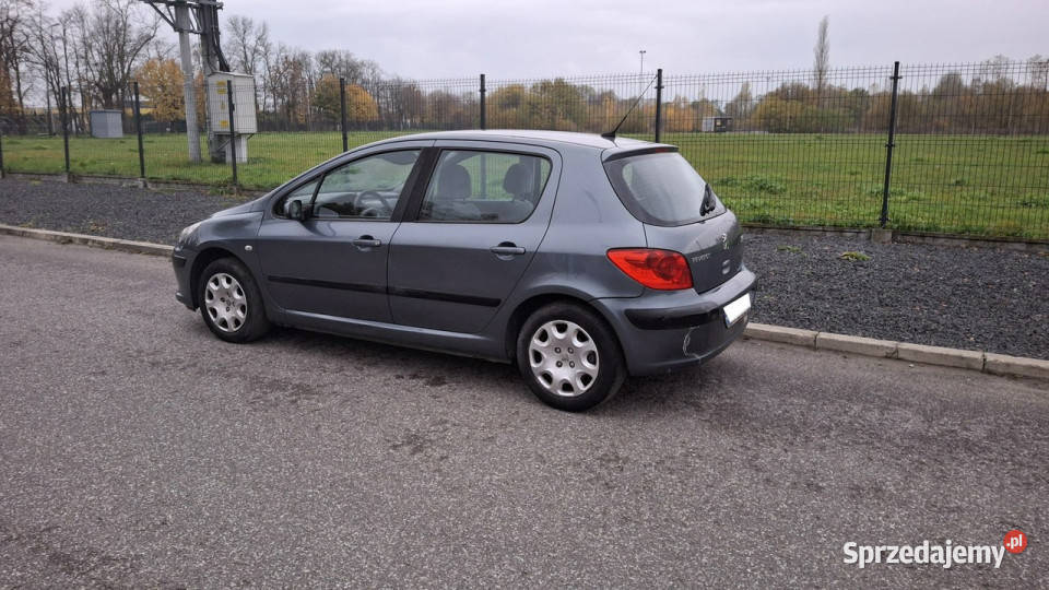 Peugeot 307 Peugeot 307 14 LPG GAZ Klima nieuszkodzony Pabianice