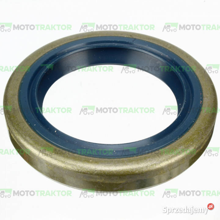 SIMMERING 45x65x10 WAŁKA ATAKU CASE 3140610R1 Łążynek