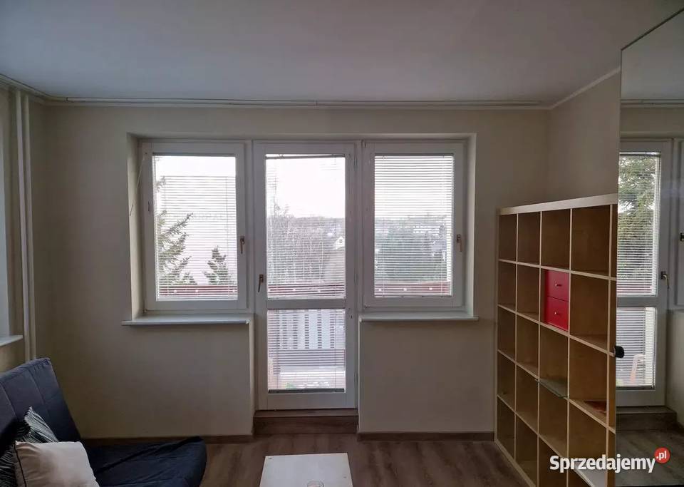 3 pokoje Gdańsk Niedźwiednikzwierzęta mile