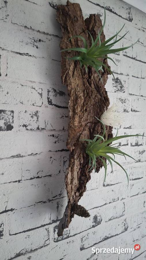 Ozdoba do akwarium terrarium Łódź