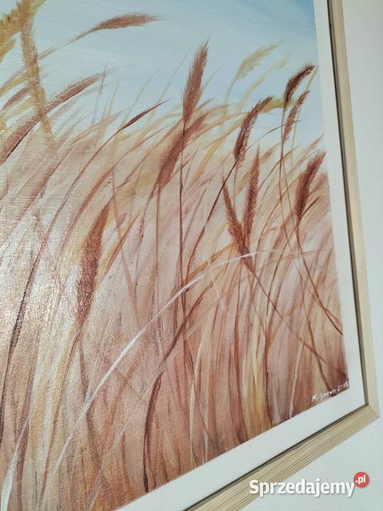 Zboża Malarstwo Lublin