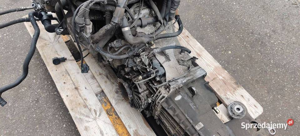 AUDI A4 B6 AVB 19 TDI KOMPLETNY SILNIK Rudziniec