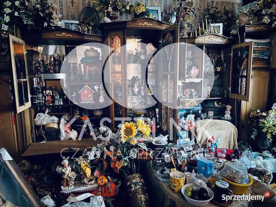 Sprzątanie zgonach Płock Kastelnik Dezynfekcja mazowieckie