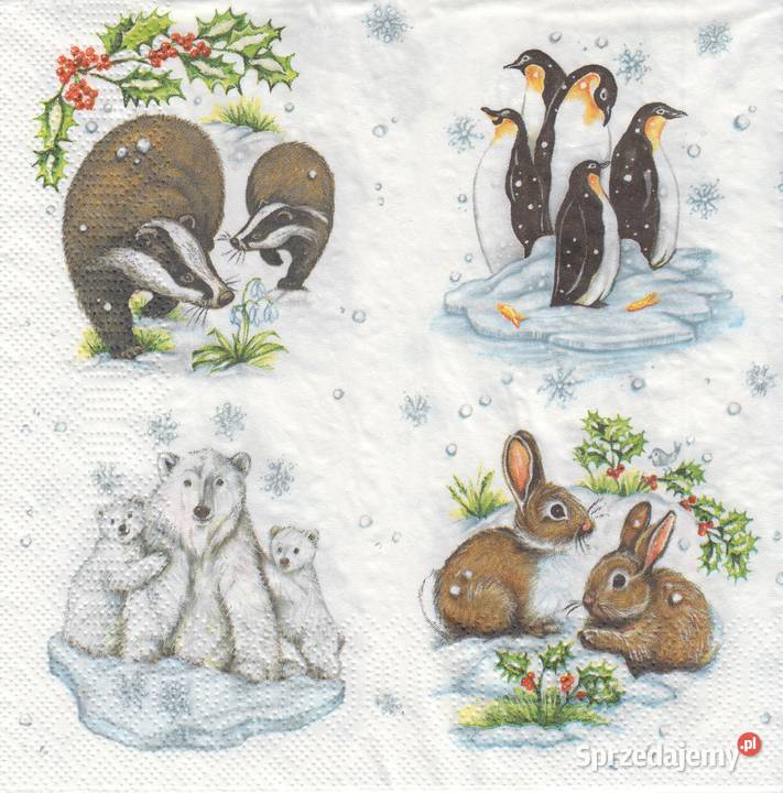 Dekupaż Boże Narodzenie zima ptaszki sikorki Skarżysko-Kamienna