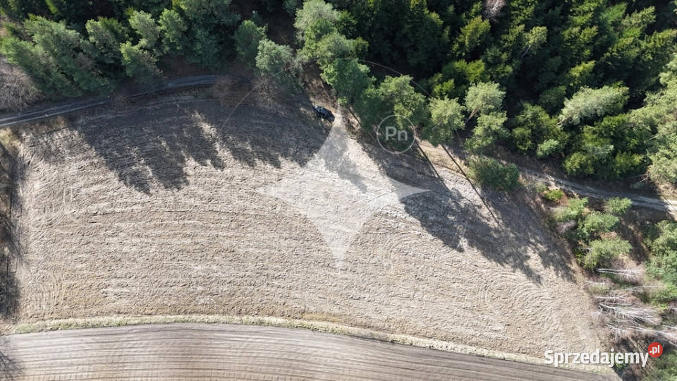 Ucieknij zgiełku działki w Róży gm Susiec