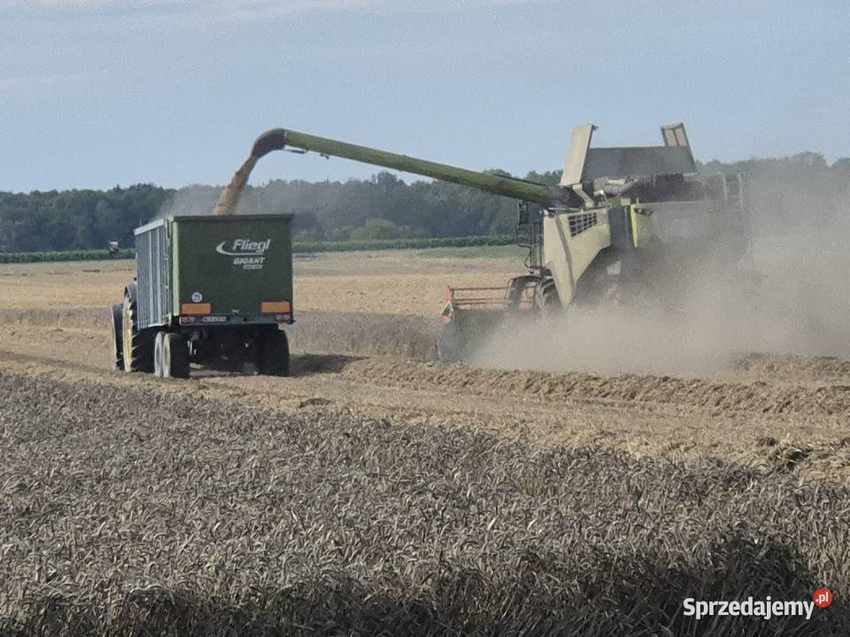 Fliegl ASW 268 Szańków