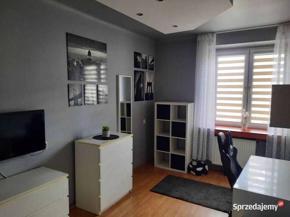 3 pokojowe mieszkanie na parterze cegła kujawsko-pomorskie Włocławek