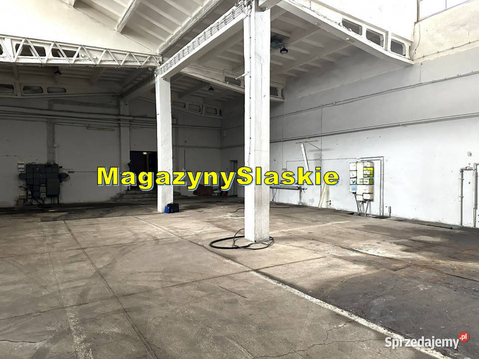 Hale do wynajęcia Zabrze DTŚ DW 902 ogrzewanie Wynajem