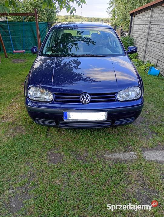 VW golf 4 1600cm3 Golf świętokrzyskie Kije