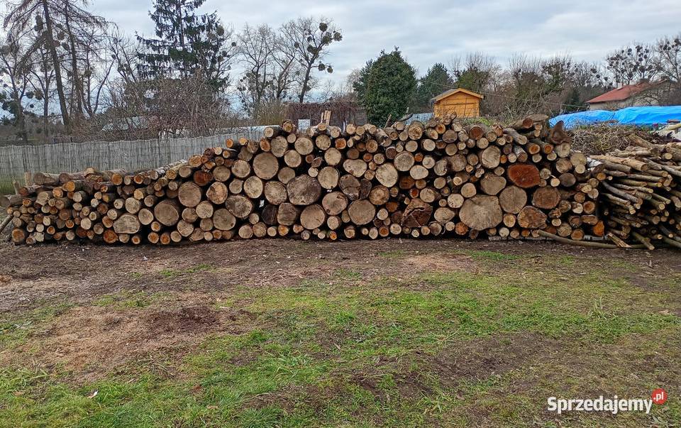 Drewno opałowe liściaste Skoki