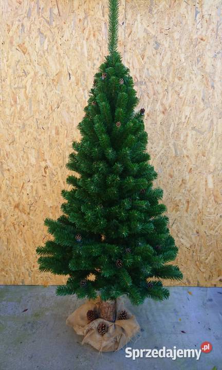 Choinka w donicy TUJA Wąska 160 NOWOŚĆ Dom i Ogród Gniazdów