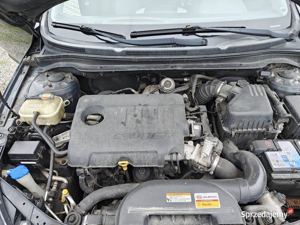 Kia Ceed ASR (kontrola trakcji) Kia lubelskie Pełczyn