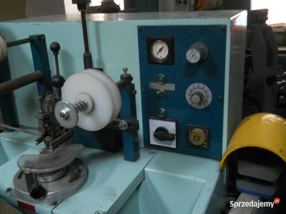 Złociarka brzegów śląskie Częstochowa sprzedam