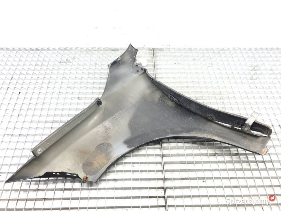 BŁOTNIK PRZÓD PRAWY RENAULT MEGANE III Hatchback podkarpackie sprzedam