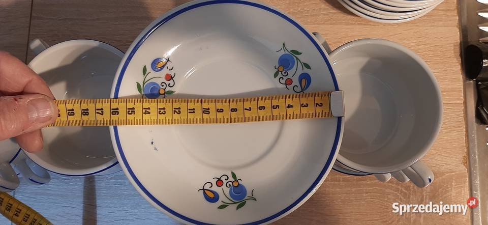 Bólionówki Kaszubskie