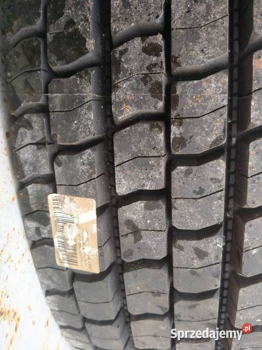 Matador Hector DR1 24570 R195 MS Regroovable Kęty