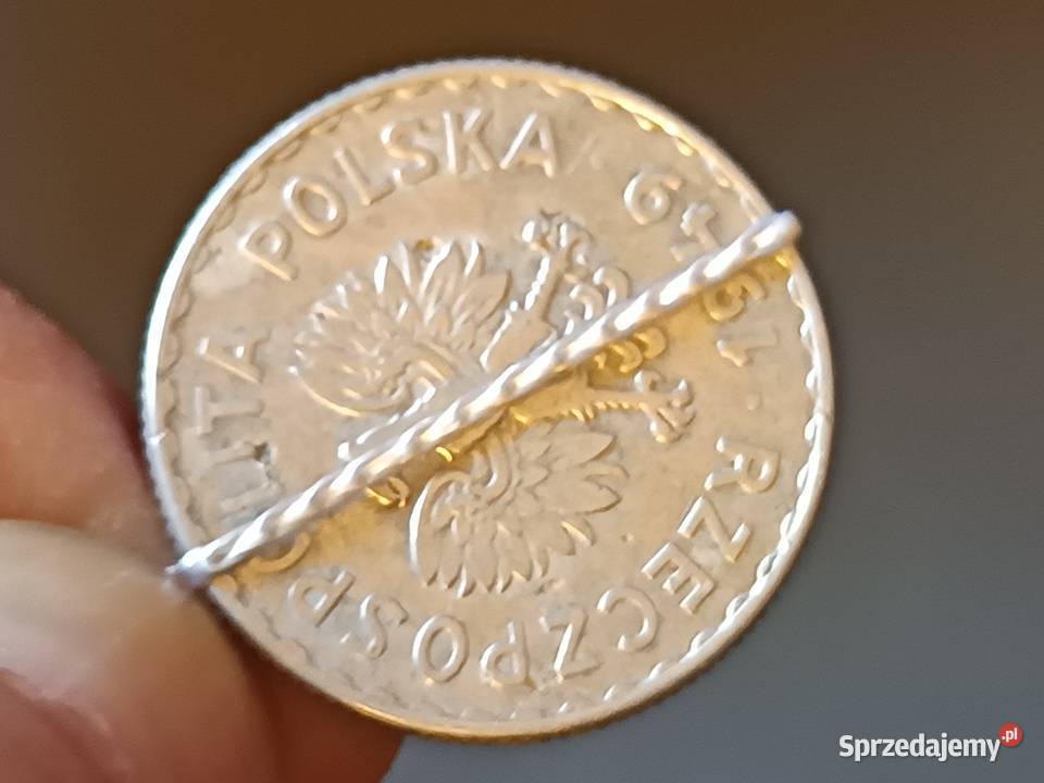 Sprzedam monete 1 zloty 1949 Numizmatyka Chełm