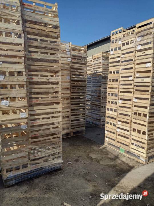 Skrzynki łuszczki Rolnictwo Sobota sprzedam