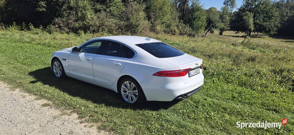 Jaguar XF 2016 20d Portfolio Poręba Wielka