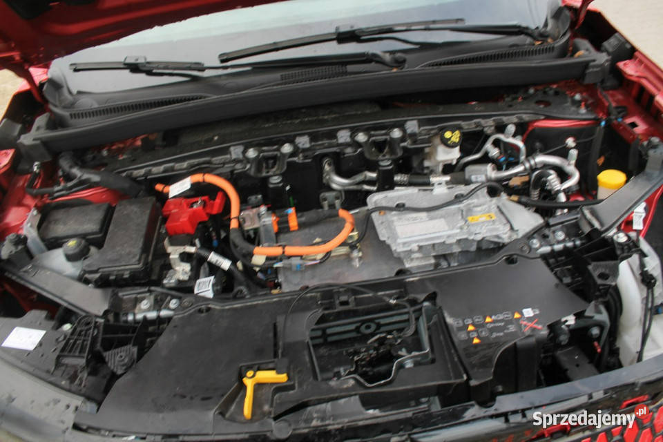 Renault Scenic IV 2016 Ostrów Wielkopolski