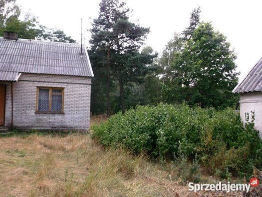 Do Siedlisko i Działka w gm Raciąż Mława