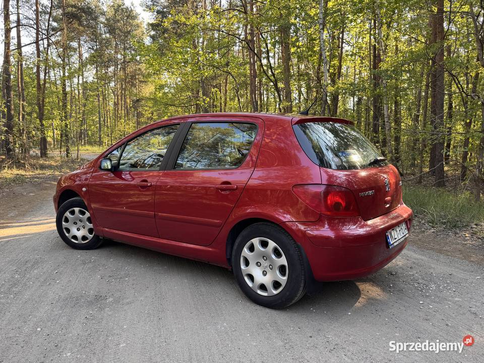 Paugeot 307 wyjątkowy egzemplarz Rok produkcji 2002