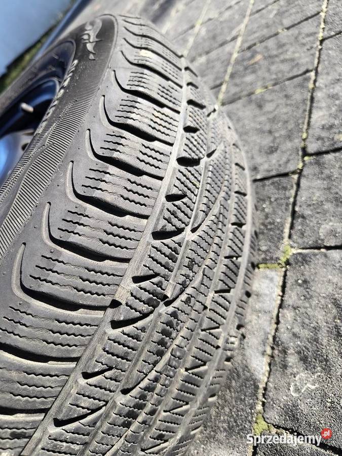 Felgi stalowe Golf plus 5100 Krasnystaw