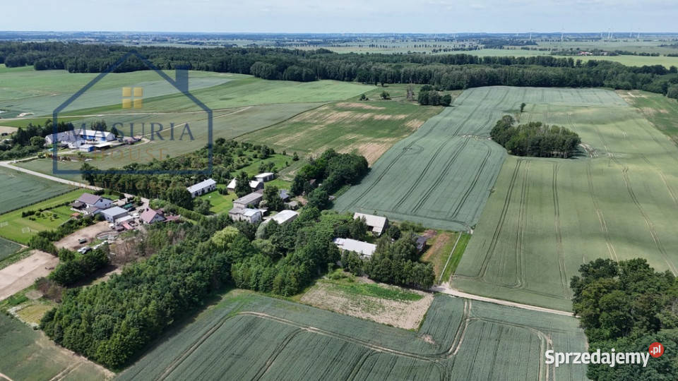Wyjątkowe siedlisko pod lasem Sprzedaż Jędrychowo