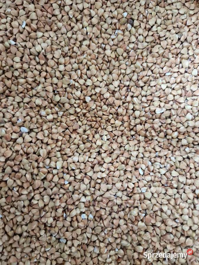 Kasza gryczana palona tradycyjnie naturalnie Dratów