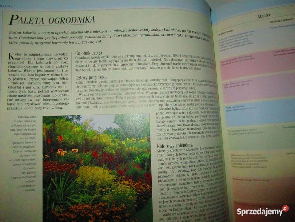 1001 sposobów na piękny ogróduprawa kwiaty Łódź
