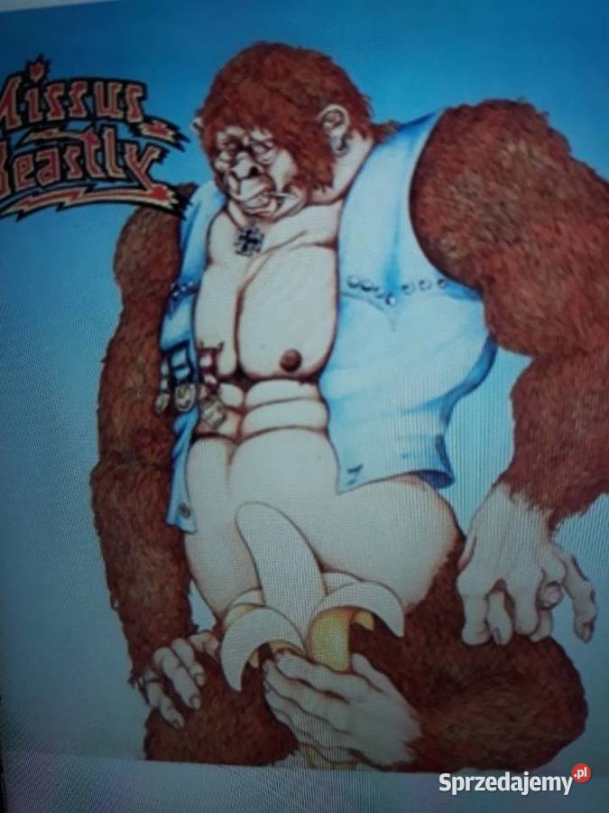 Archiwum jazz prog rocka MISSUS BEASTLY Same 2 1 płyta Rzeszów