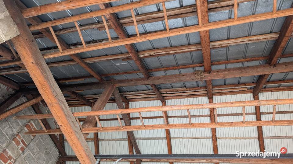 Drabina drewniana jodłowa 6 i 8 metrów Drabiny Siedliska