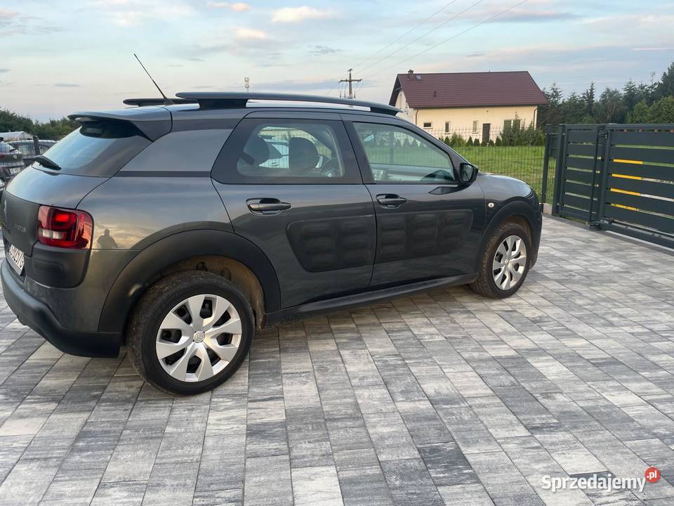 Citroen C4 Cactus Bezwypadkowy 12 Tablet Ledy Grudziądz