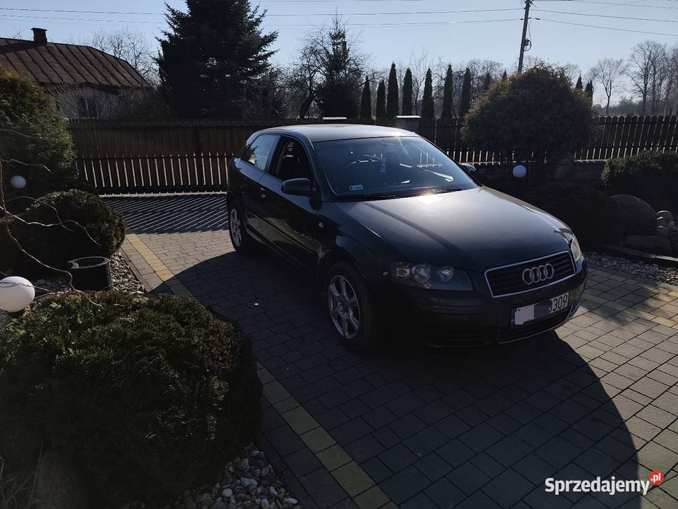 Audi a3 8p 16 mpi manualna Radzyń Podlaski