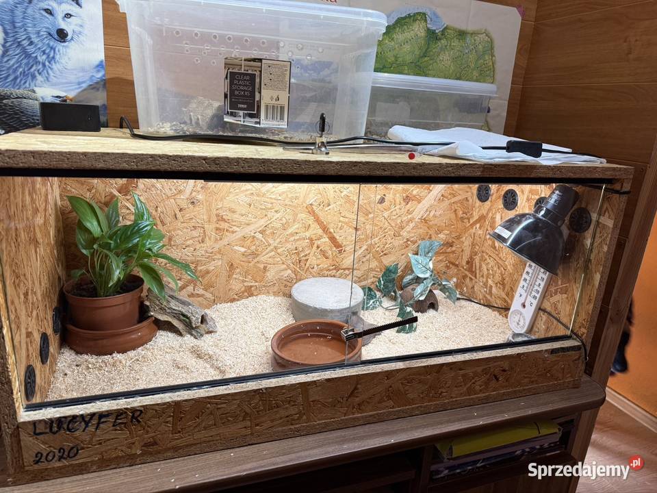 Terrarium osb 90 Warszawa