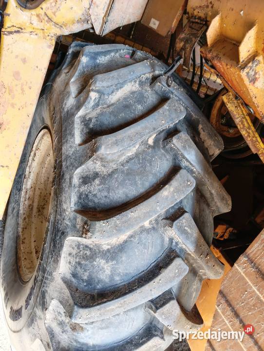 Bizon Rekord ZO58 Lipka