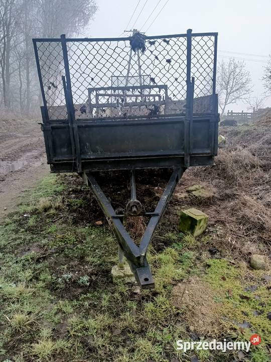 Rozrzutniki Wąpielsk