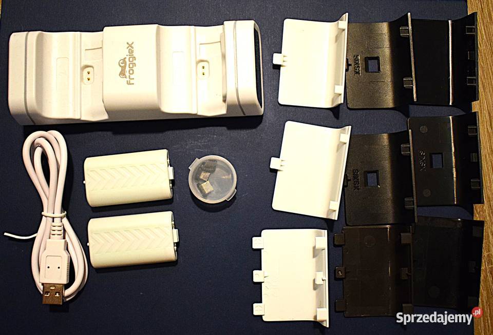 FroggieX XBO Podwójna stacja ładująca dwa kujawsko-pomorskie Chełmno