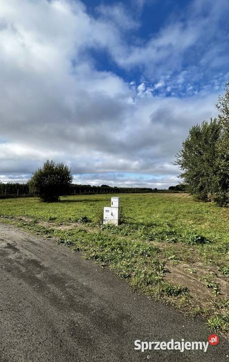 Bezpośrednio działka 3000 m z WZ DK50 Całowanie