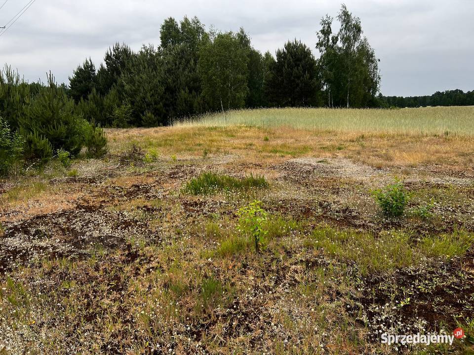 Działka budowlana Łąkie