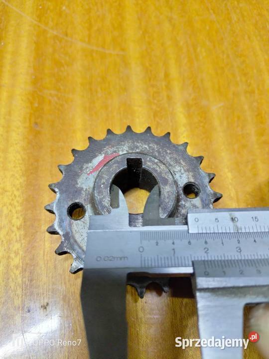 Zębatka 24 zęby panonia Łubno