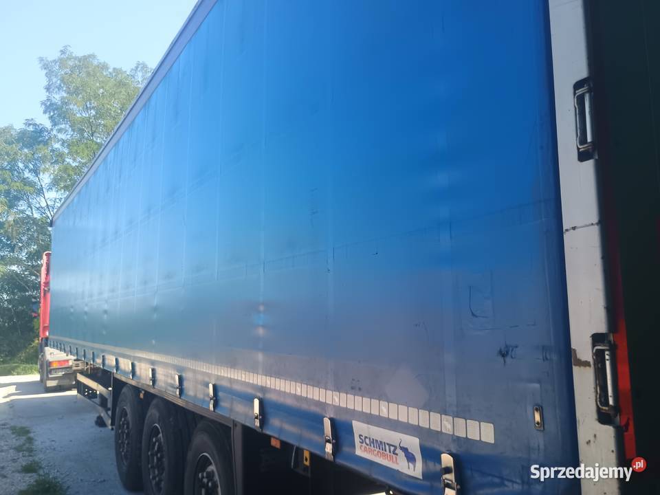 Schmitz 2018 Morawica