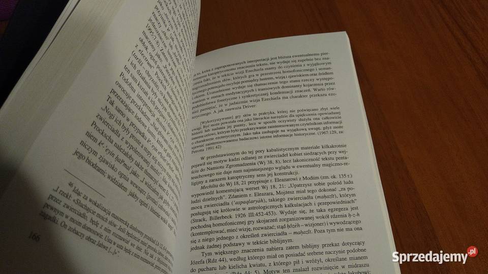 Euoi studia z symbolizmu i metaforyzacji Książki naukowe i popularnonaukowe Gdańsk