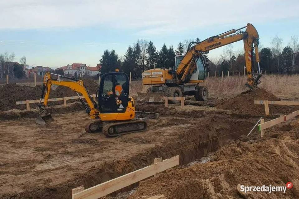 Kora kamienna gnejsowa 3163 mm luzem mała Kora Wiązowna