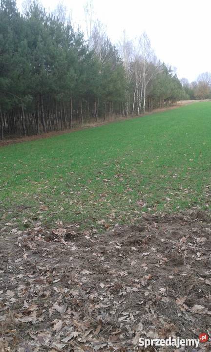 spokojne miejsce 10zł/m2