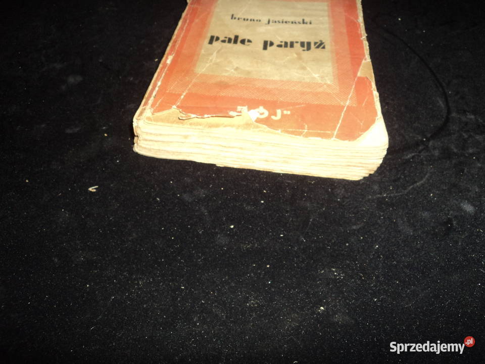 Palę Paryż Brunon Jasieński 1929r wydaniee